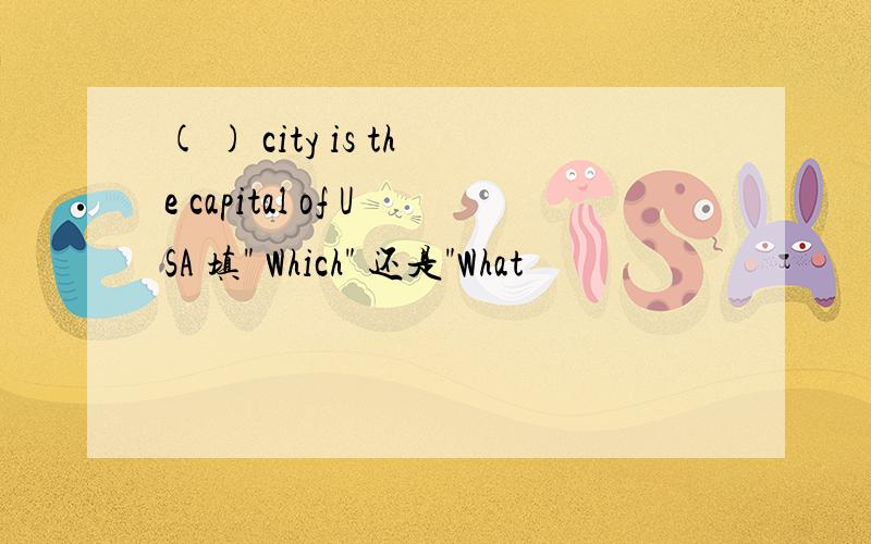 ( ) city is the capital of USA 填