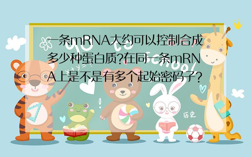 一条mRNA大约可以控制合成多少种蛋白质?在同一条mRNA上是不是有多个起始密码子?