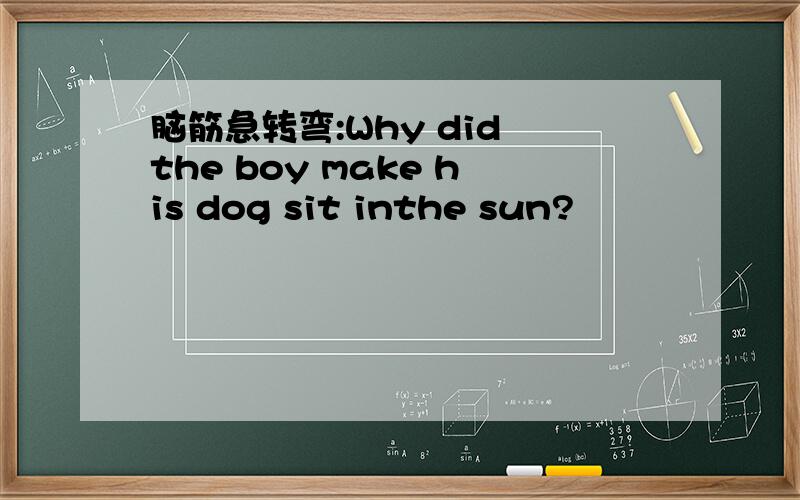 脑筋急转弯:Why did the boy make his dog sit inthe sun?