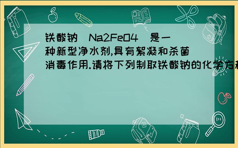 铁酸钠(Na2FeO4)是一种新型净水剂,具有絮凝和杀菌消毒作用.请将下列制取铁酸钠的化学方程式补充完整：2F