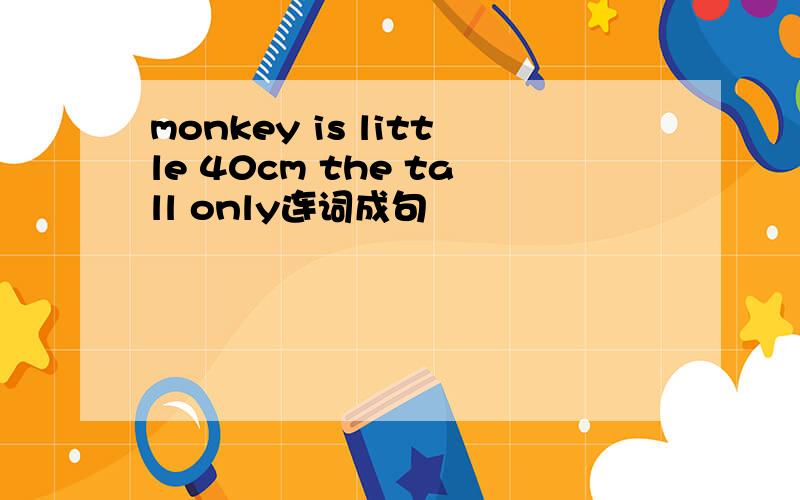 monkey is little 40cm the tall only连词成句