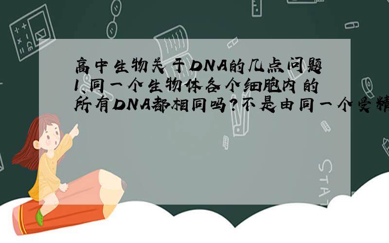 高中生物关于DNA的几点问题1、同一个生物体各个细胞内的所有DNA都相同吗?不是由同一个受精卵发育而来的吗,为什么会不同?    2、叶绿体、线粒体上的DNA复制吗?如果复制的话,他们复制有什