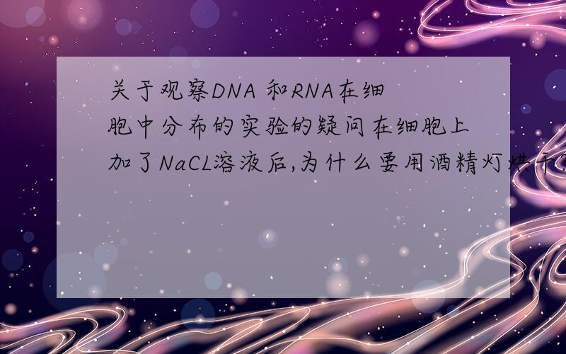 关于观察DNA 和RNA在细胞中分布的实验的疑问在细胞上加了NaCL溶液后,为什么要用酒精灯烘干?烘干后又浸入盐酸中,表皮细胞不会到盐酸中去吗?