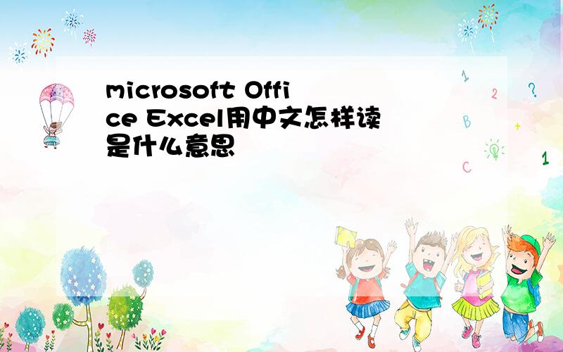 microsoft Office Excel用中文怎样读是什么意思