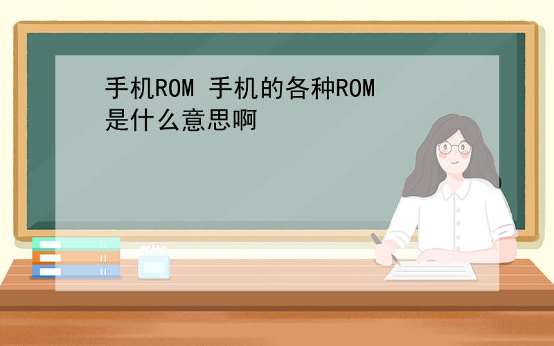 手机ROM 手机的各种ROM是什么意思啊