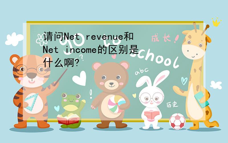 请问Net revenue和Net income的区别是什么啊?