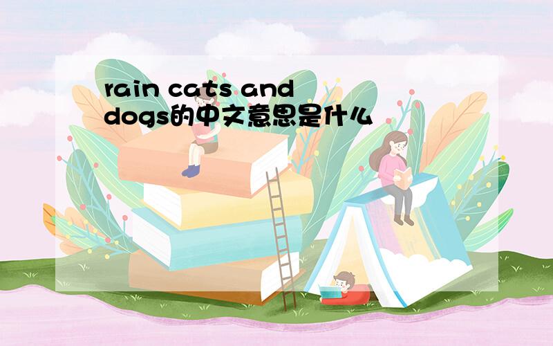 rain cats and dogs的中文意思是什么