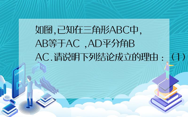 如图,已知在三角形ABC中,AB等于AC ,AD平分角BAC.请说明下列结论成立的理由：（1）三角形ABD全等于三角形ACD；（2）BD等于CD