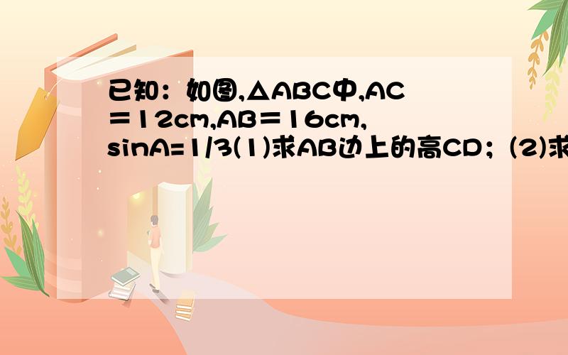 已知：如图,△ABC中,AC＝12cm,AB＝16cm,sinA=1/3(1)求AB边上的高CD；(2)求△ABC的面积S；(3)求tanB．