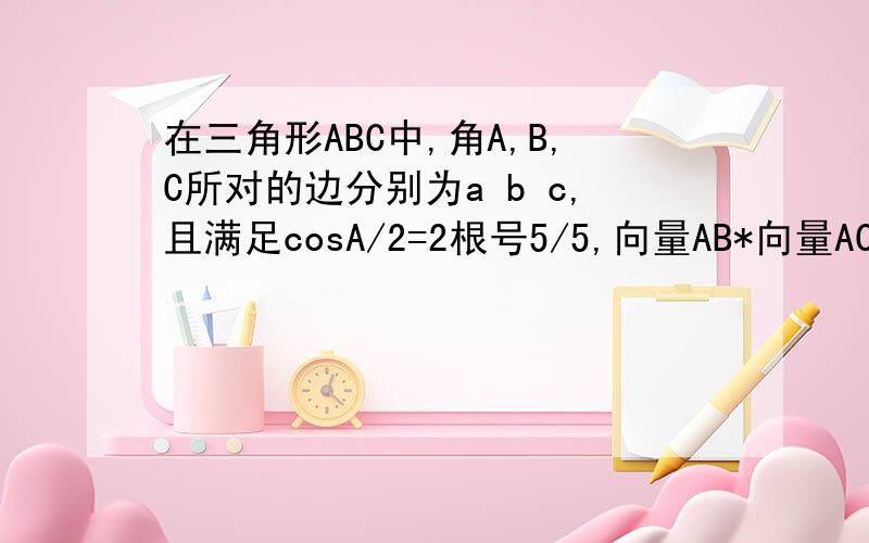 在三角形ABC中,角A,B,C所对的边分别为a b c,且满足cosA/2=2根号5/5,向量AB*向量AC=3（1）求三角形ABC的面积（2）若b+c=6,求a的值