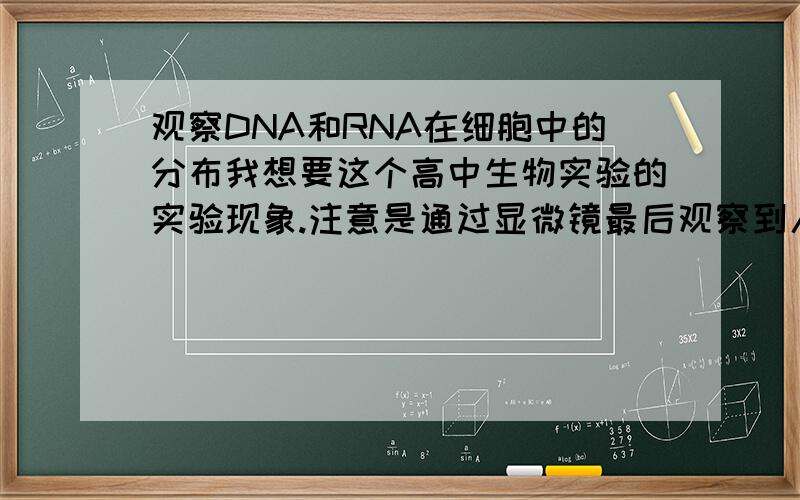 观察DNA和RNA在细胞中的分布我想要这个高中生物实验的实验现象.注意是通过显微镜最后观察到人的口腔上皮细胞和洋葱鳞片叶内表皮细胞中DNA和RNA分布的状况...我想要观察到的细胞形状样子