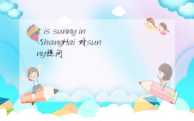 it is sunny in ShangHai 对sunny提问