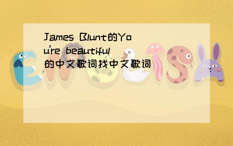 James Blunt的You're beautiful的中文歌词找中文歌词