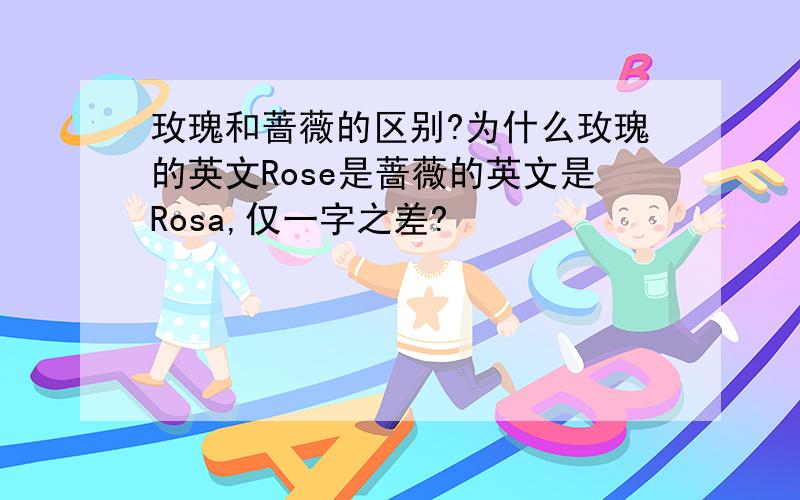 玫瑰和蔷薇的区别?为什么玫瑰的英文Rose是蔷薇的英文是Rosa,仅一字之差?