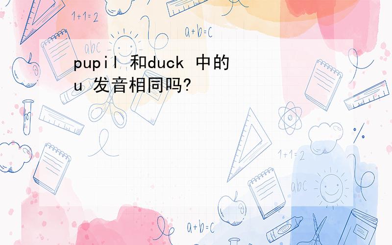 pupil 和duck 中的u 发音相同吗?