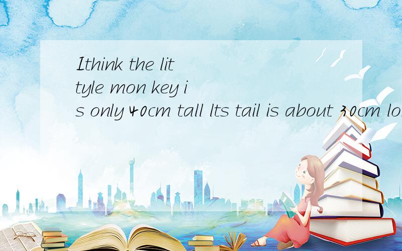 Ithink the littyle mon key is only 40cm tall lts tail is about 30cm long 怎么翻译