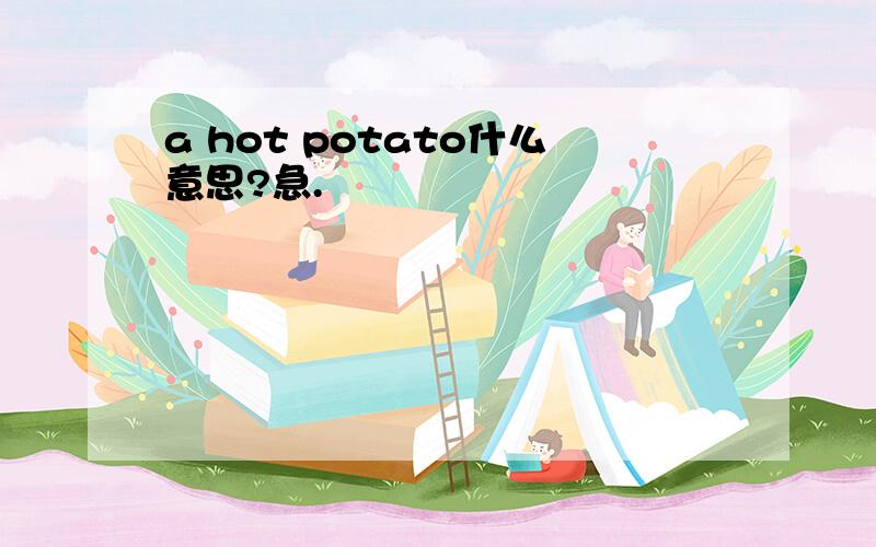 a hot potato什么意思?急.