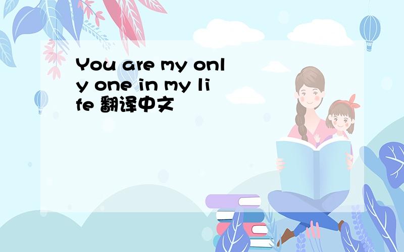 You are my only one in my life 翻译中文