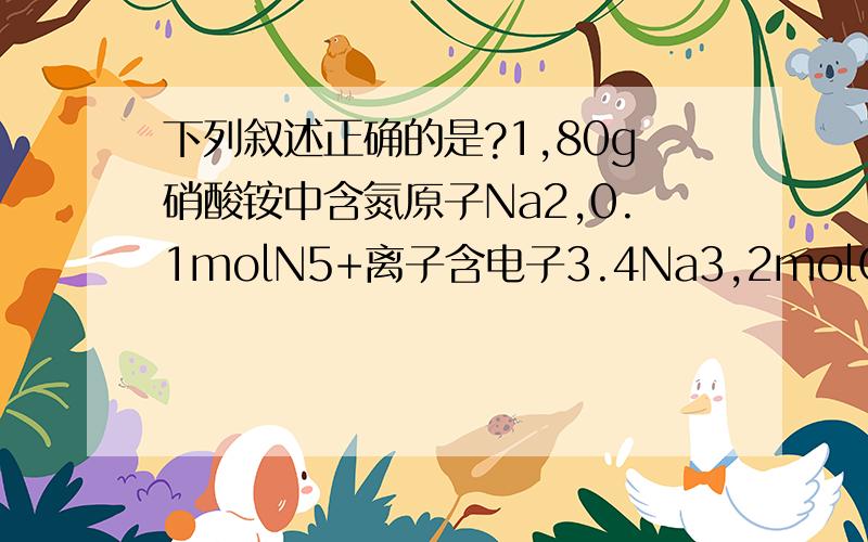 下列叙述正确的是?1,80g硝酸铵中含氮原子Na2,0.1molN5+离子含电子3.4Na3,2molCO2含分子3Na4,16gO2和16gO3所含原子数均为Na答案不唯一.
