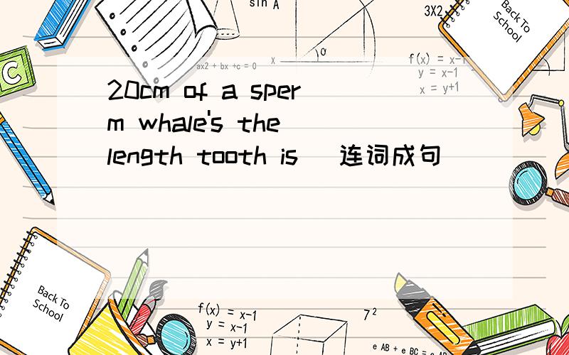 20cm of a sperm whale's the length tooth is [连词成句
