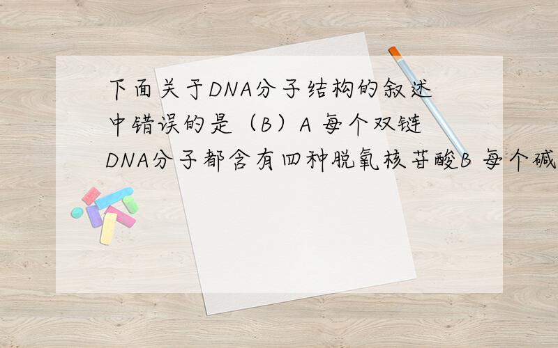 下面关于DNA分子结构的叙述中错误的是（B）A 每个双链DNA分子都含有四种脱氧核苷酸B 每个碱基分子上均连接着一个磷酸和一个脱氧核糖C 每个DNA分子中,碱基数=磷酸数=脱氧核糖数D 双链DNA分