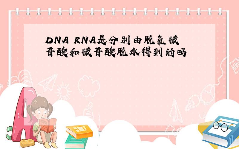 DNA RNA是分别由脱氧核苷酸和核苷酸脱水得到的吗