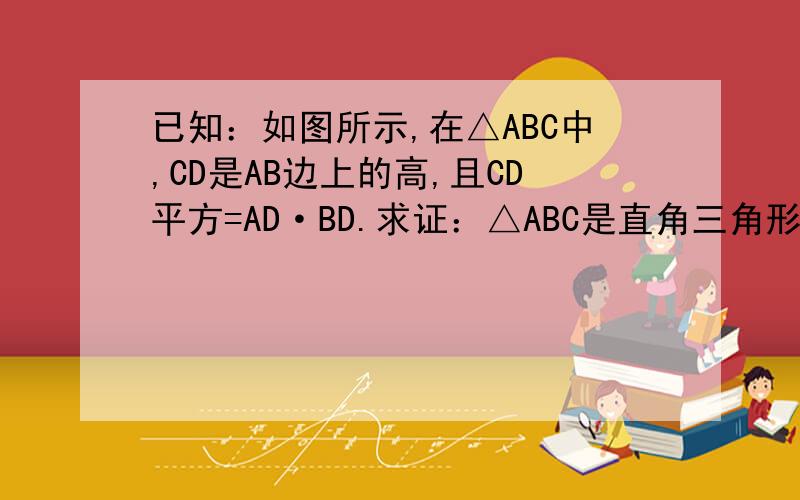 已知：如图所示,在△ABC中,CD是AB边上的高,且CD平方=AD·BD.求证：△ABC是直角三角形.