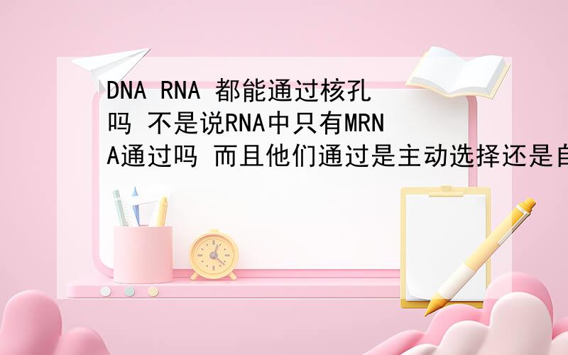 DNA RNA 都能通过核孔吗 不是说RNA中只有MRNA通过吗 而且他们通过是主动选择还是自由进出的 都是这样的吗