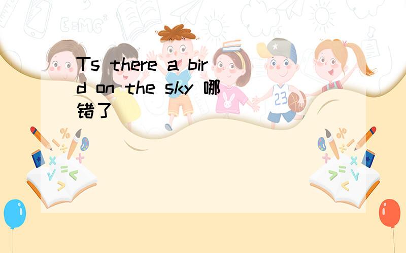 Ts there a bird on the sky 哪错了
