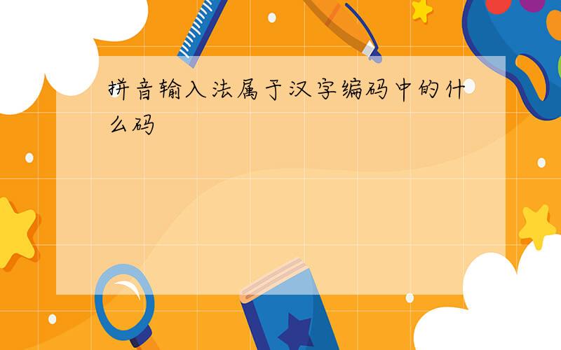 拼音输入法属于汉字编码中的什么码