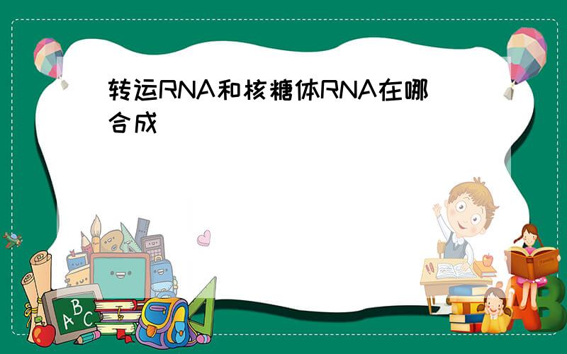 转运RNA和核糖体RNA在哪合成
