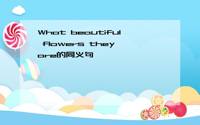 What beautiful flowers they are的同义句