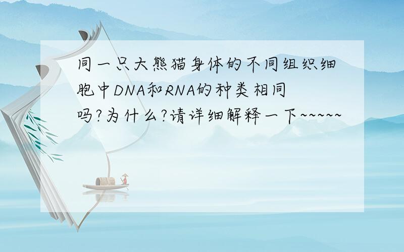 同一只大熊猫身体的不同组织细胞中DNA和RNA的种类相同吗?为什么?请详细解释一下~~~~~