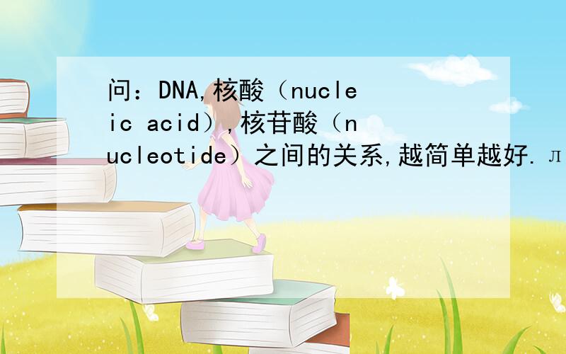 问：DNA,核酸（nucleic acid）,核苷酸（nucleotide）之间的关系,越简单越好.лл