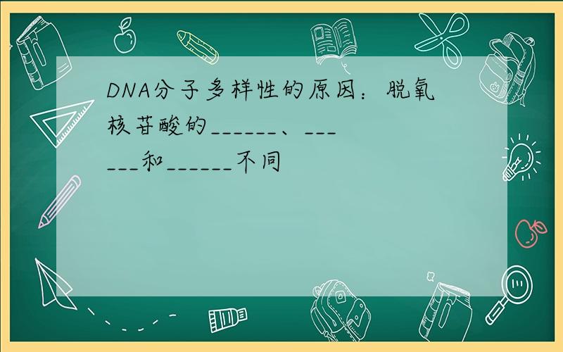 DNA分子多样性的原因：脱氧核苷酸的______、______和______不同