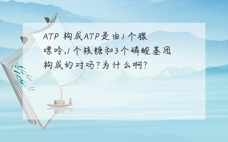 ATP 构成ATP是由1个腺嘌呤,1个核糖和3个磷酸基团构成的对吗?为什么啊?