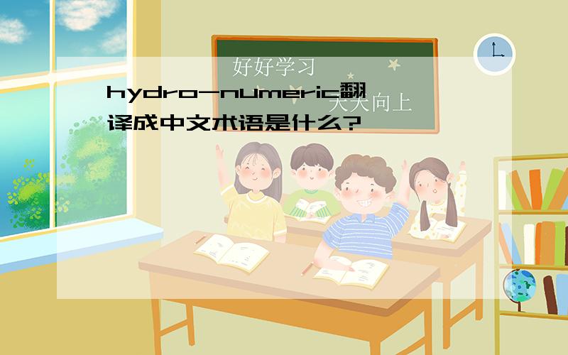 hydro-numeric翻译成中文术语是什么?