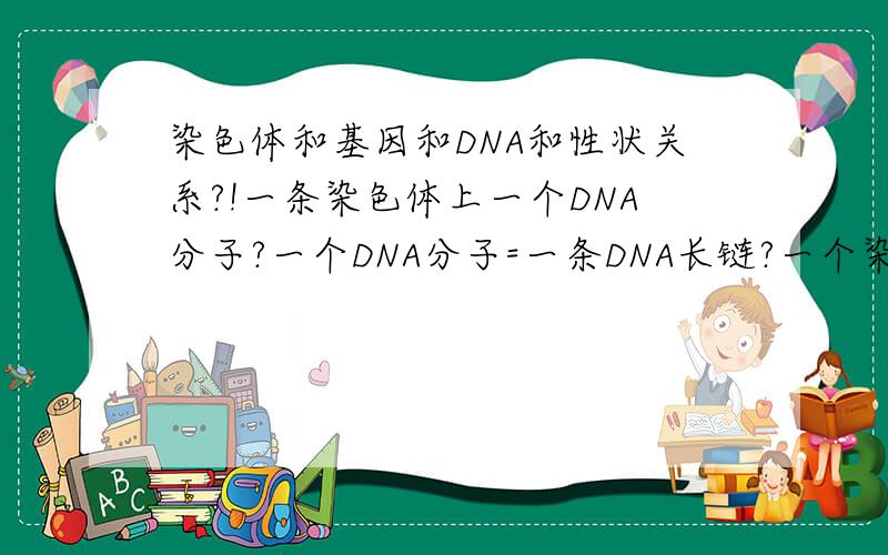 染色体和基因和DNA和性状关系?!一条染色体上一个DNA分子?一个DNA分子=一条DNA长链?一个染色体决定多少性状?一个DNA包含多少信息?决定了多大程度的信息量?