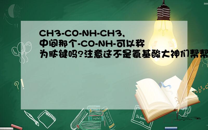 CH3-CO-NH-CH3,中间那个-CO-NH-可以称为肽键吗?注意这不是氨基酸大神们帮帮忙