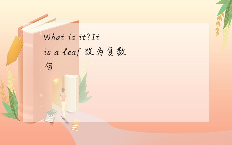 What is it?It is a leaf 改为复数句