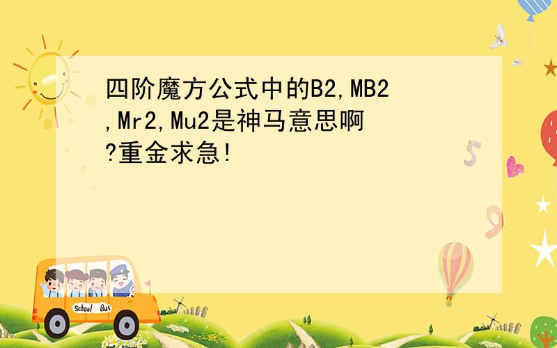 四阶魔方公式中的B2,MB2,Mr2,Mu2是神马意思啊?重金求急!