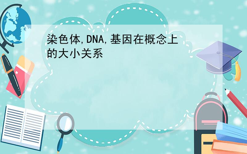 染色体,DNA,基因在概念上的大小关系