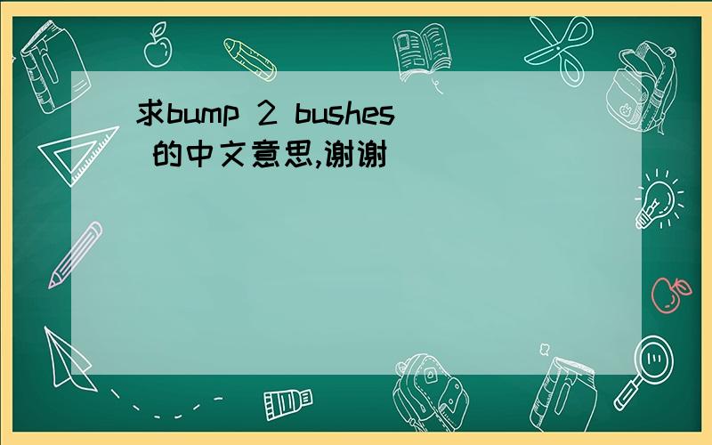 求bump 2 bushes 的中文意思,谢谢