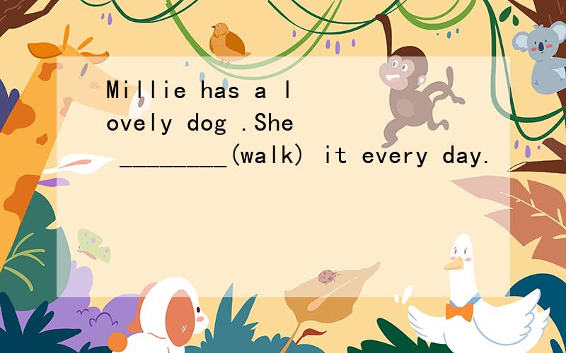 Millie has a lovely dog .She ________(walk) it every day.