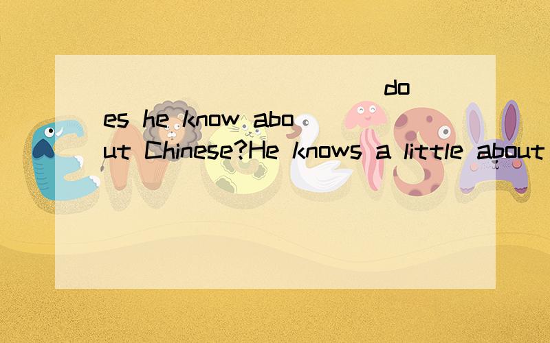 _____ _____ does he know about Chinese?He knows a little about Chinese?(对a little提问）