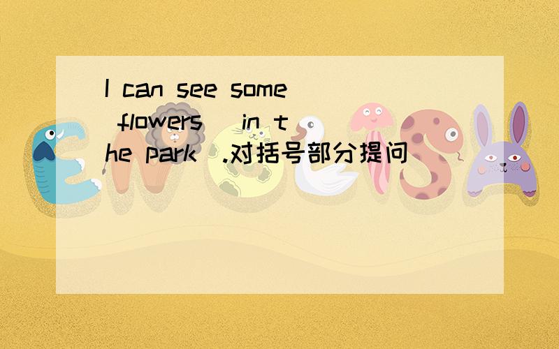 I can see some flowers( in the park).对括号部分提问