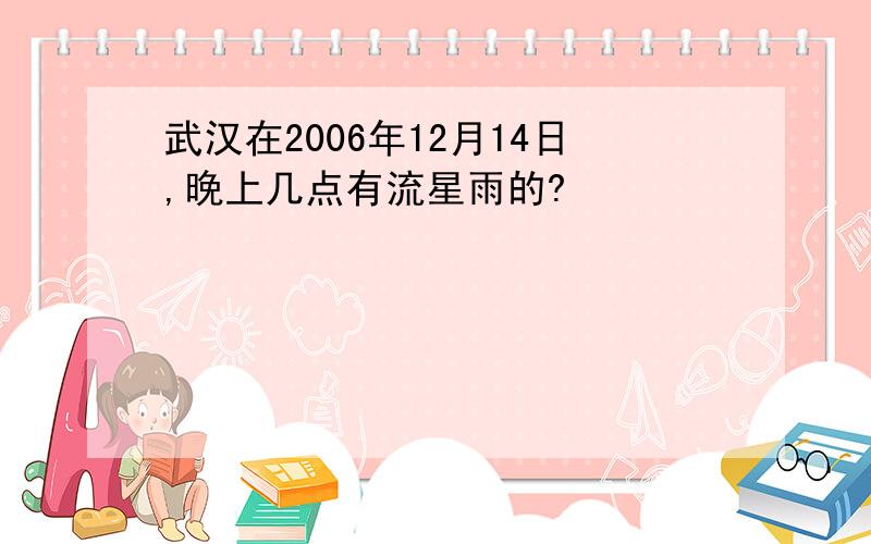 武汉在2006年12月14日,晚上几点有流星雨的?