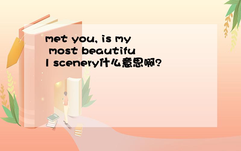 met you, is my most beautiful scenery什么意思啊?