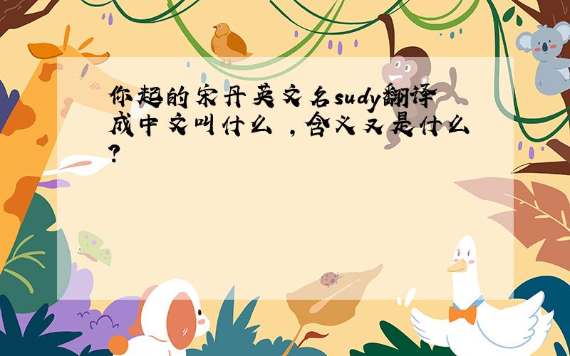 你起的宋丹英文名sudy翻译成中文叫什么 ,含义又是什么?