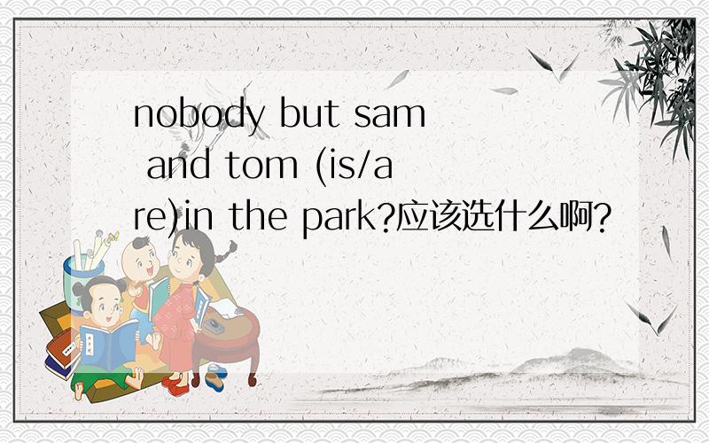 nobody but sam and tom (is/are)in the park?应该选什么啊?